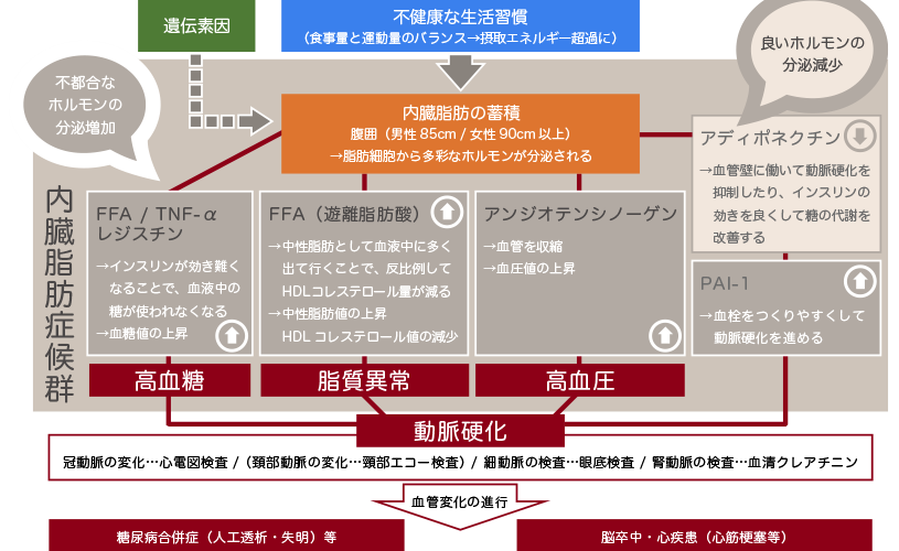 メタボリックシンドローム 公式 ユアクリニック秋葉原 末広町駅 秋葉原駅